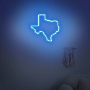 Texas Neon Sign