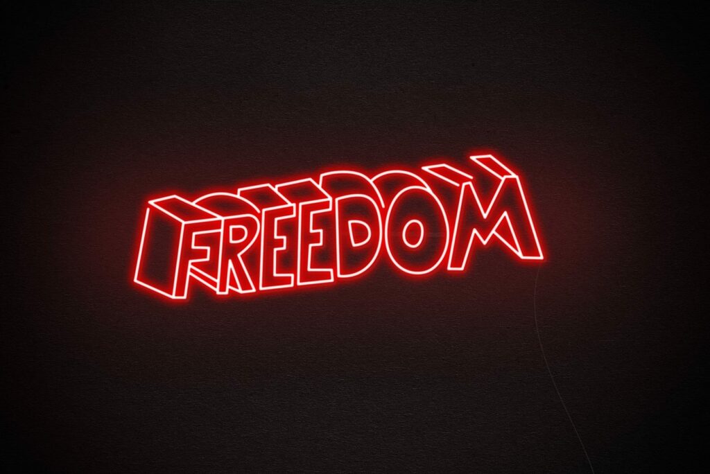 Freedom Neon Sign - Celebrate Freedom with Neon Sign - Echo Neon