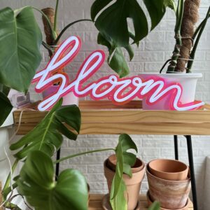 Custom Led Neon Sign For Home Room Decor