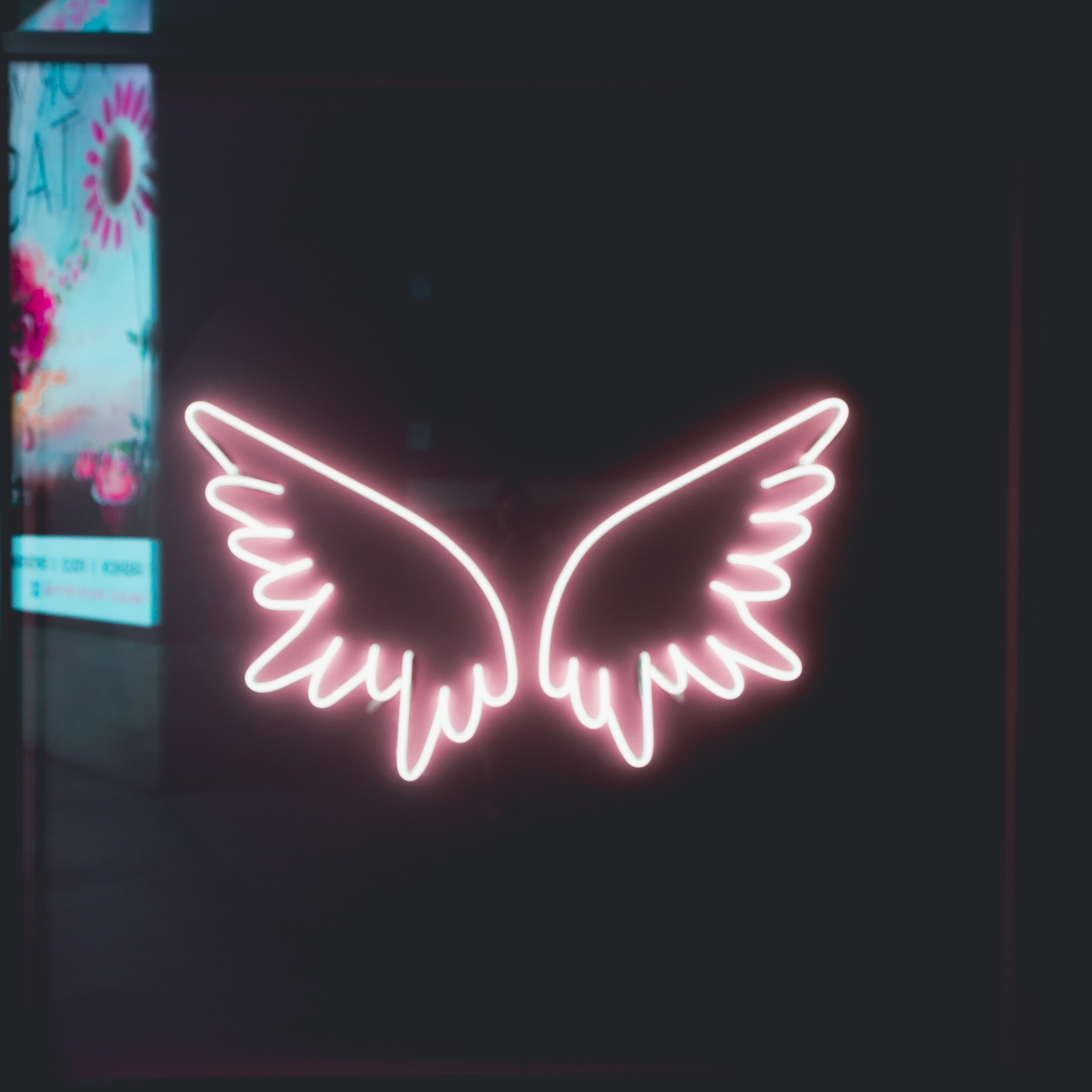 large butterfly lighting neon light