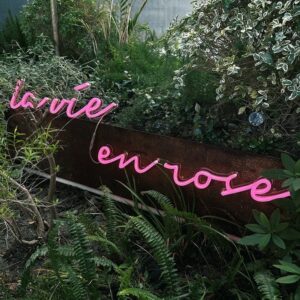 la-vie-en-rose-led-neon-sign