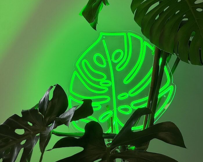 Monstera Leaf green Neon Light
