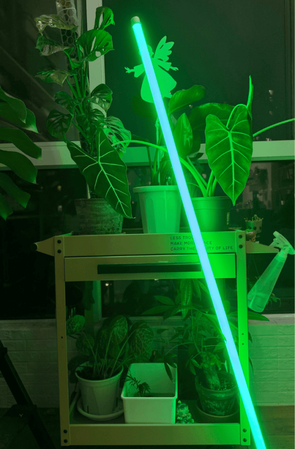 Echo Led Neon Tube Lamp - Image 16