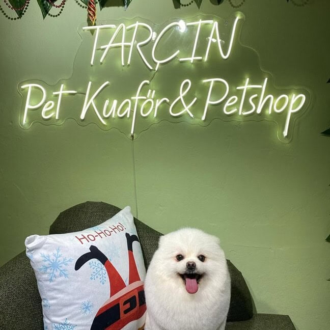 custom neon sign for pet store business
